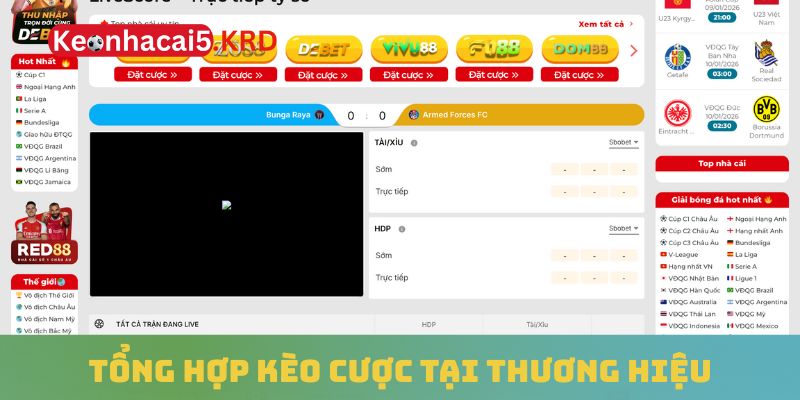 Tổng hợp kèo cược tại thương hiệu